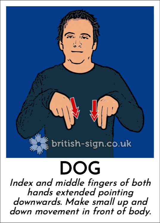Dog: Index and middle fingers of both hands extended pointing downwards.  Make small up and down movement in front of body.